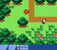 une photo d'Ã©cran de Bomberman Quest sur Nintendo Game Boy Color